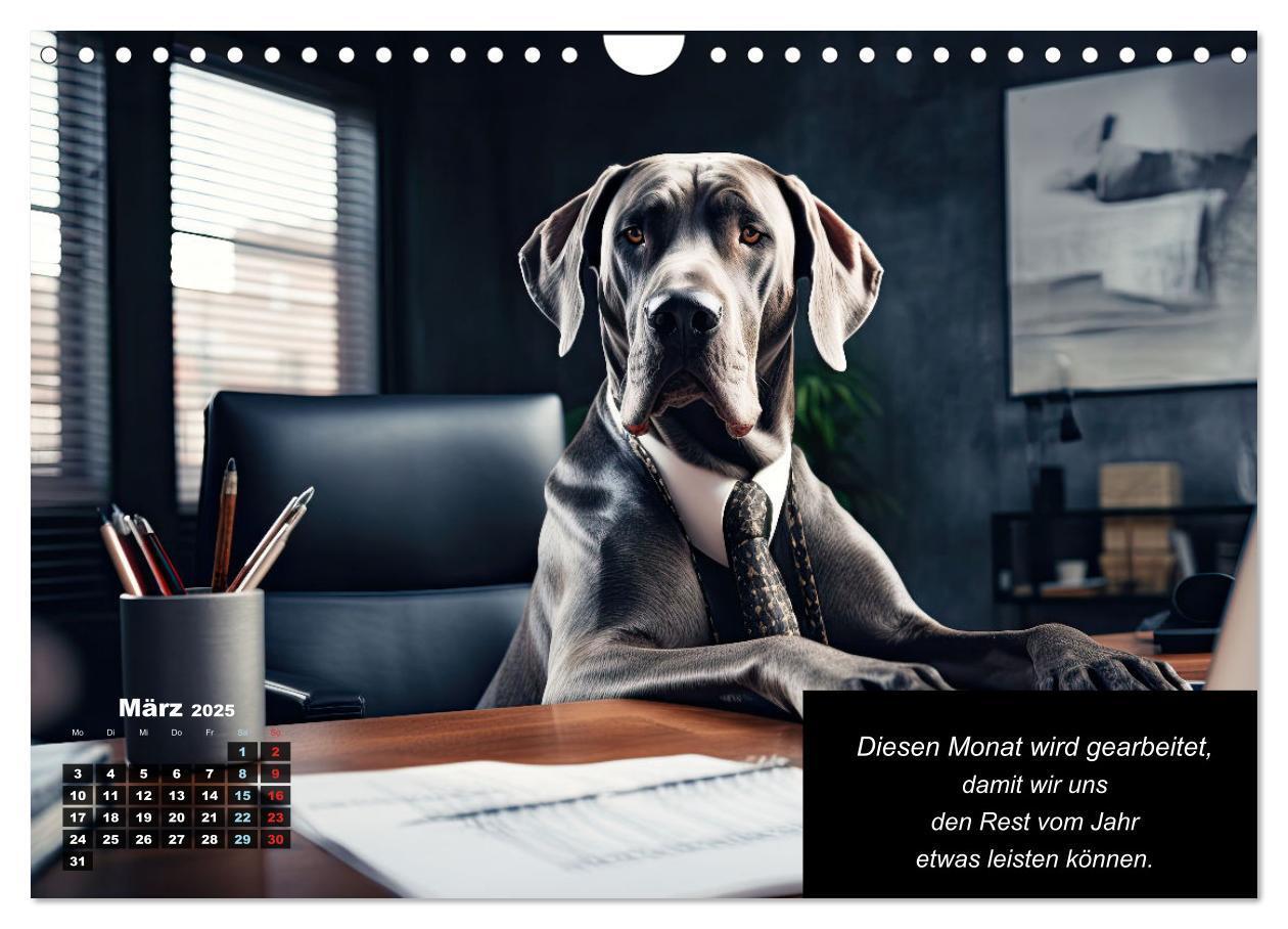 Bild: 9783435722471 | Der humoristische Dogge Kalender (Wandkalender 2025 DIN A4 quer),...