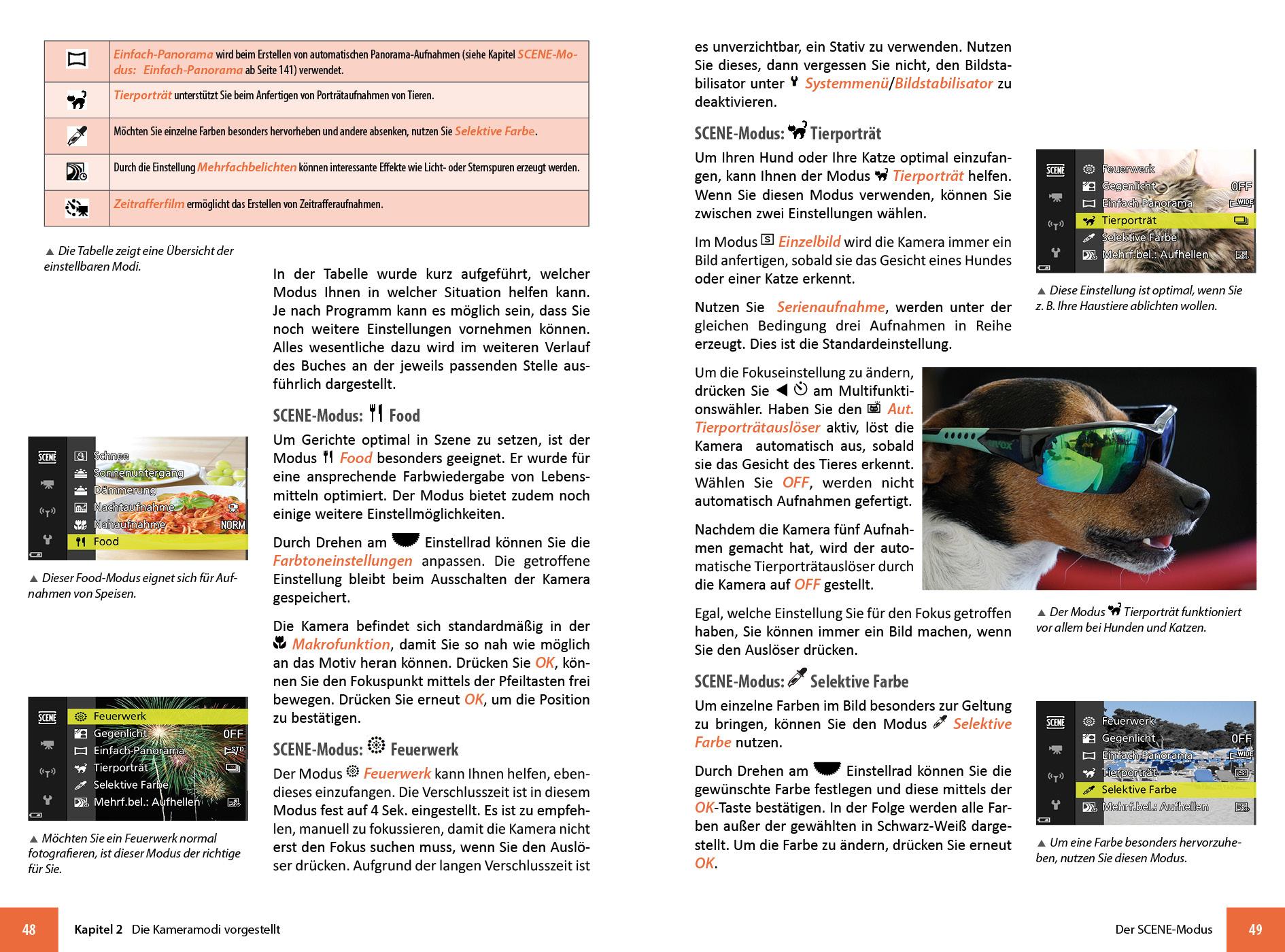 Bild: 9783832804121 | Nikon Coolpix P950 | Das umfangreiche Praxisbuch zu Ihrer Kamera!