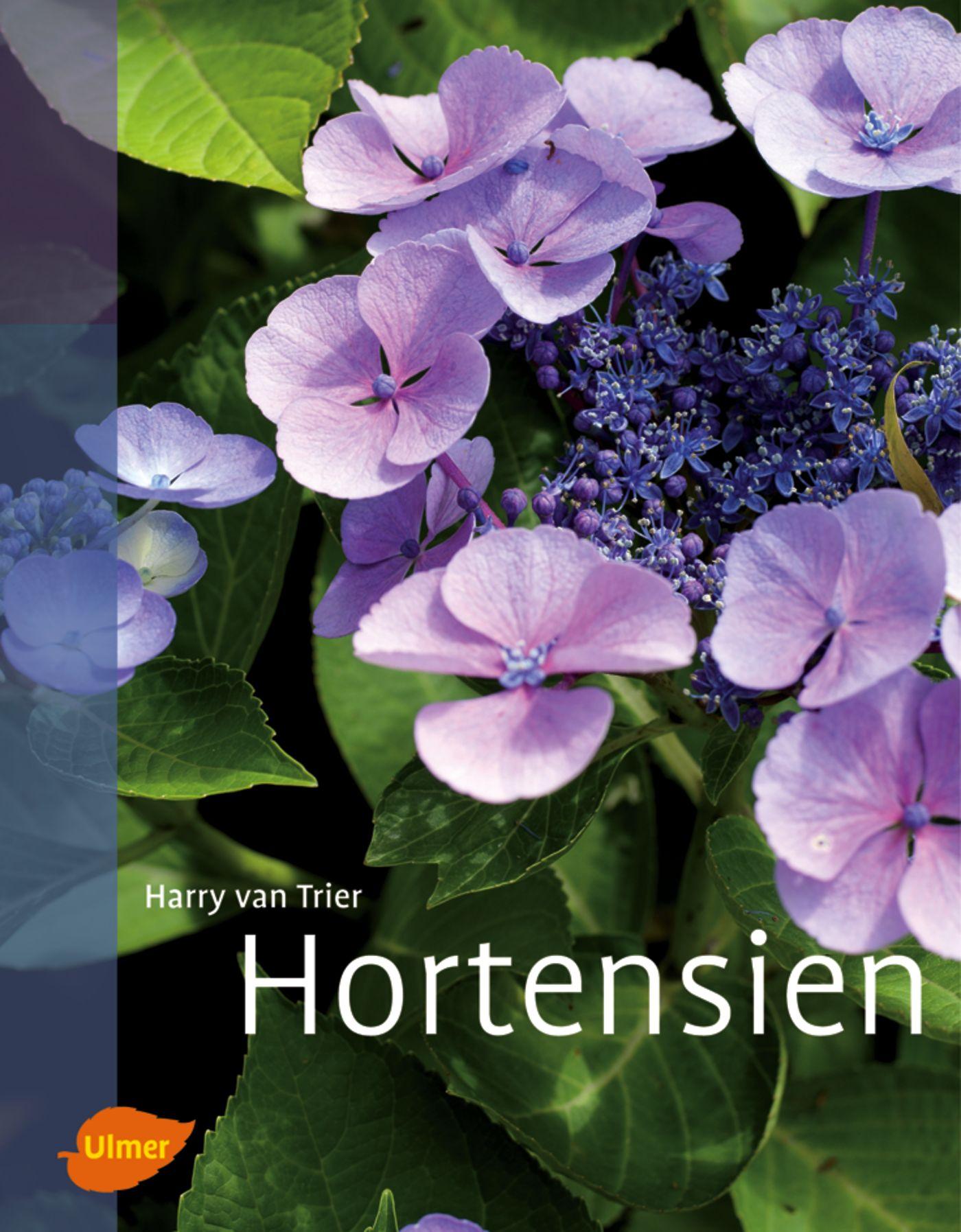 Cover: 9783800176335 | Hortensien | Harry van Trier | Buch | 144 S. | Deutsch | 2011