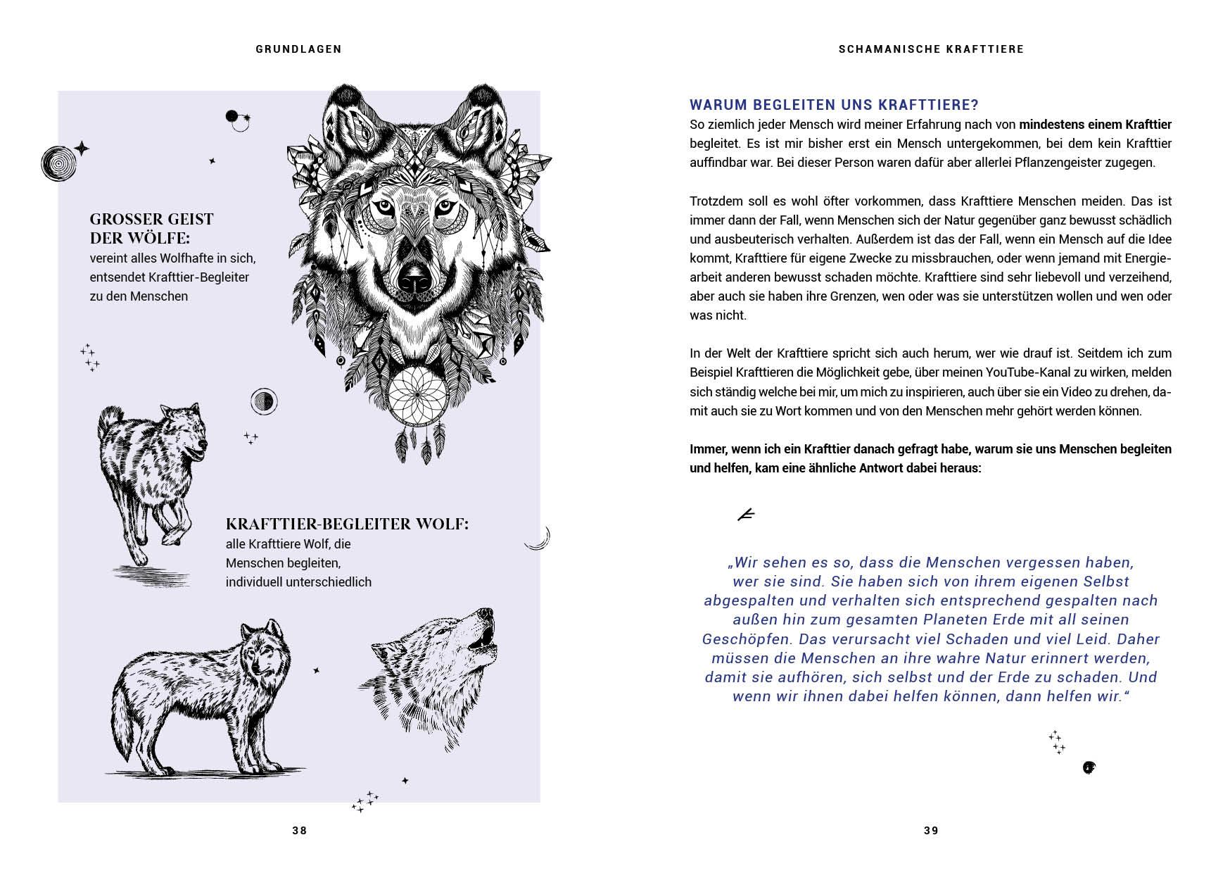 Bild: 9783745913552 | Praxisbuch Schamanische Krafttiere - Entdecke deine Seelenbegleiter