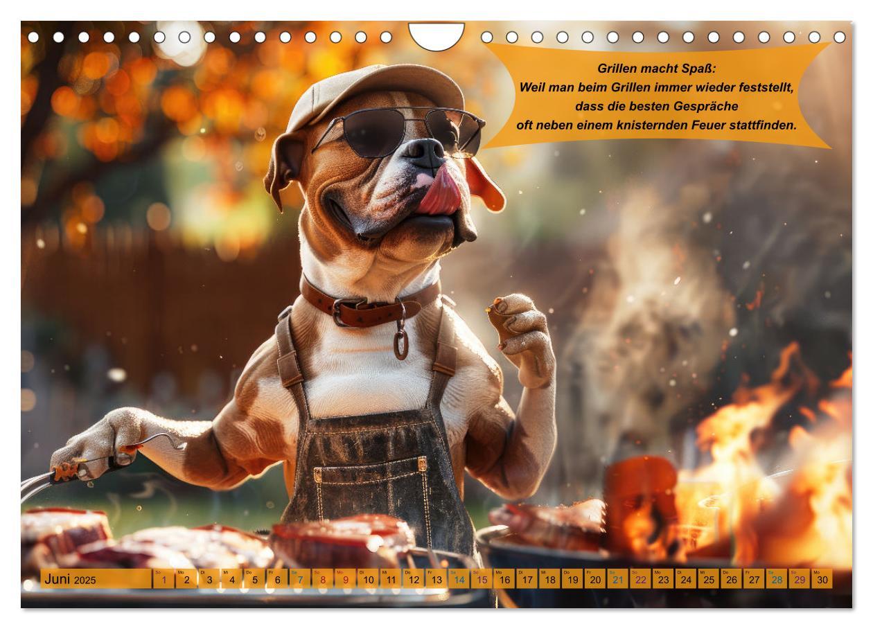 Bild: 9783457168264 | Tierisch lustige Grillmeister (Wandkalender 2025 DIN A4 quer),...