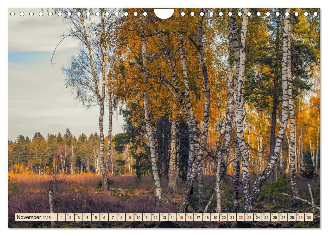 Bild: 9783435228119 | Herbst im Schwenninger Moos (Wandkalender 2025 DIN A4 quer),...