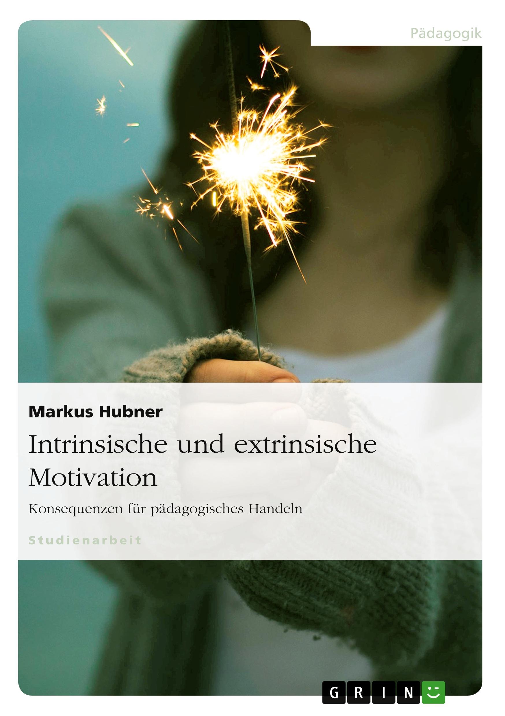 Cover: 9783640862160 | Intrinsische und extrinsische Motivation. Konsequenzen für...