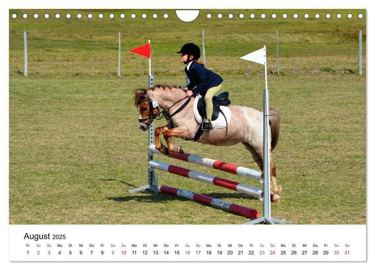 Bild: 9783435618507 | Vielseitigkeitsreiten (Wandkalender 2025 DIN A4 quer), CALVENDO...