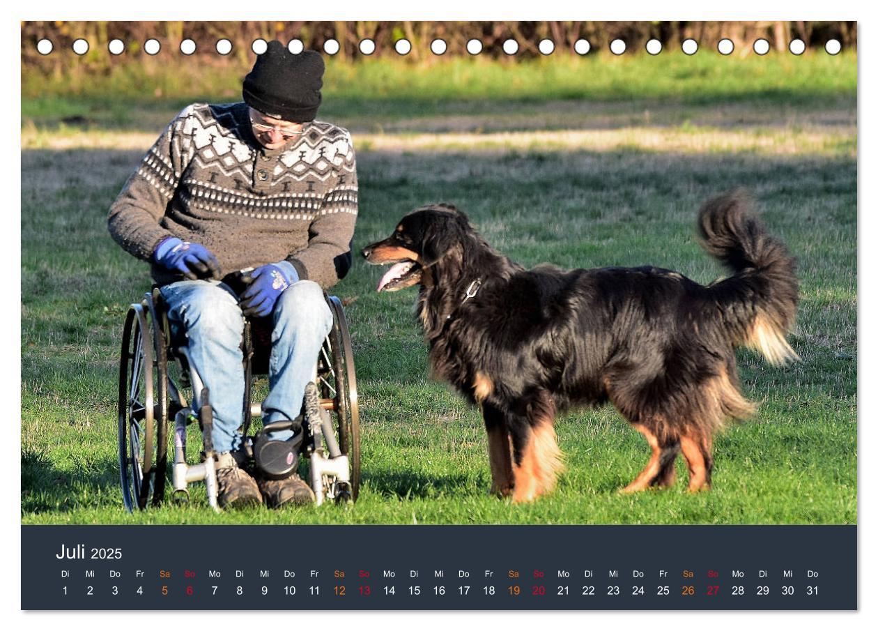 Bild: 9783435149056 | Ein Hovawart, ein Wachhund (Tischkalender 2025 DIN A5 quer),...