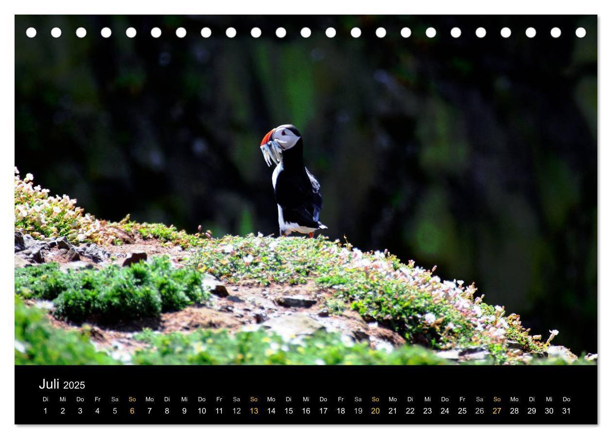 Bild: 9783435577507 | Wales Pembrokeshire - Natur im Fokus- (Tischkalender 2025 DIN A5...