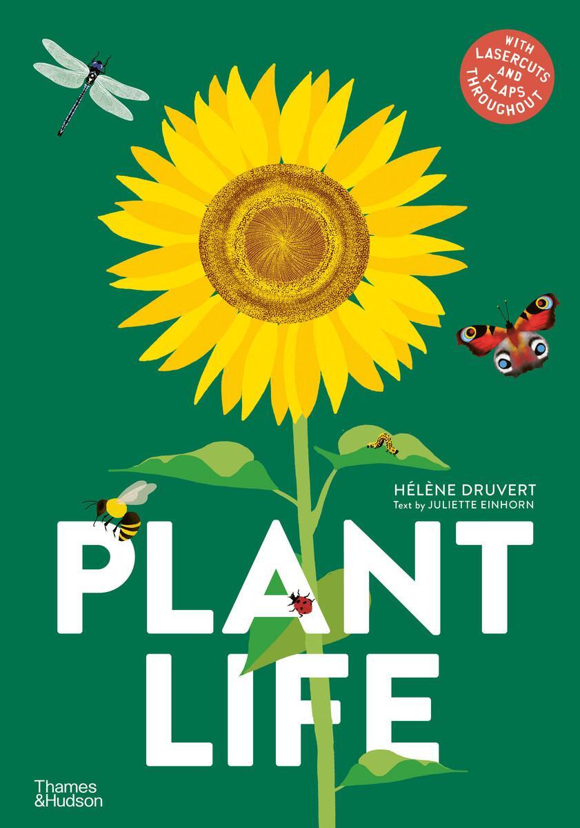 Bild: 9780500653272 | Plant Life | Helene Druvert | Buch | Gebunden | Englisch | 2023