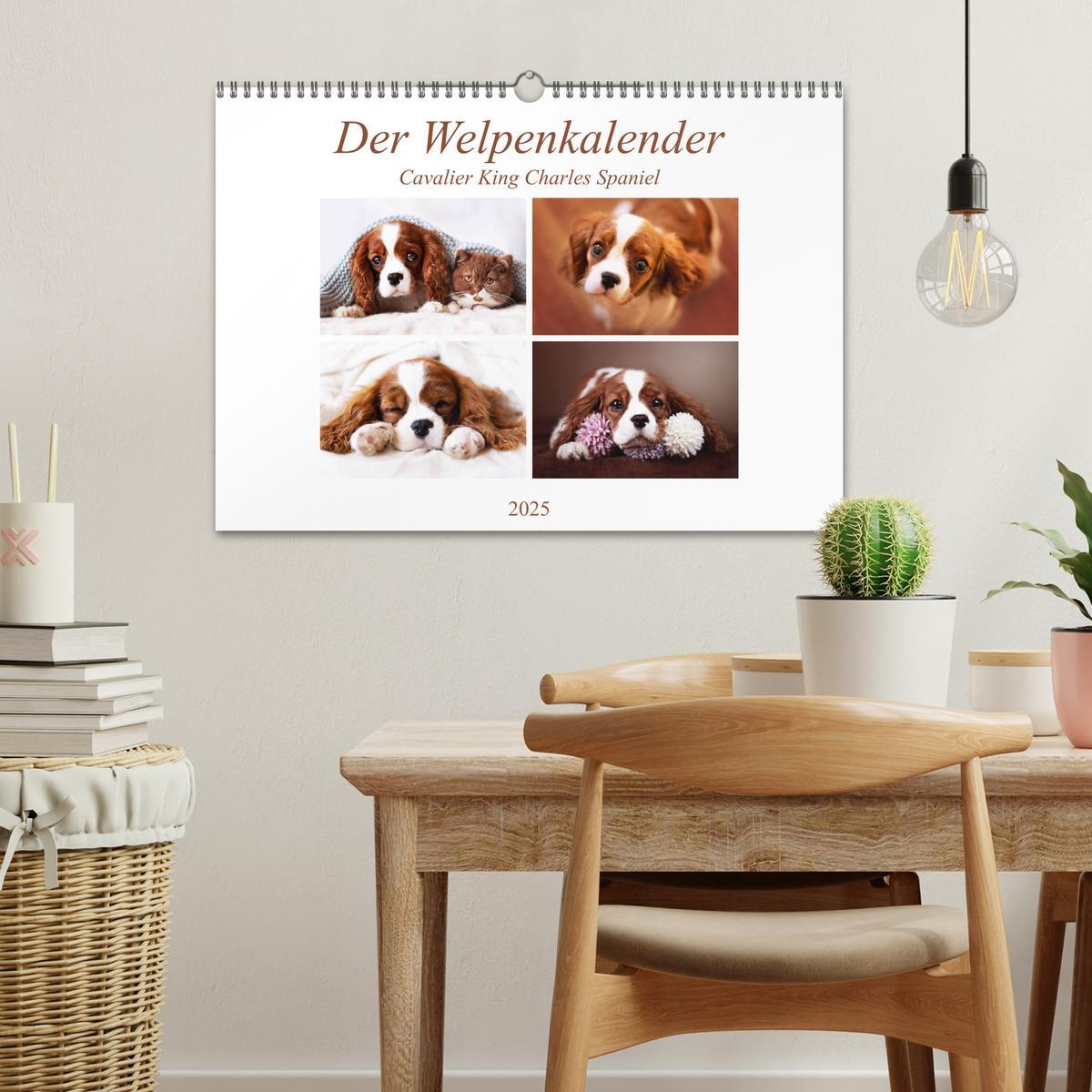 Bild: 9783435179978 | Der Welpenkalender - Cavalier King Charles Spaniel (Wandkalender...