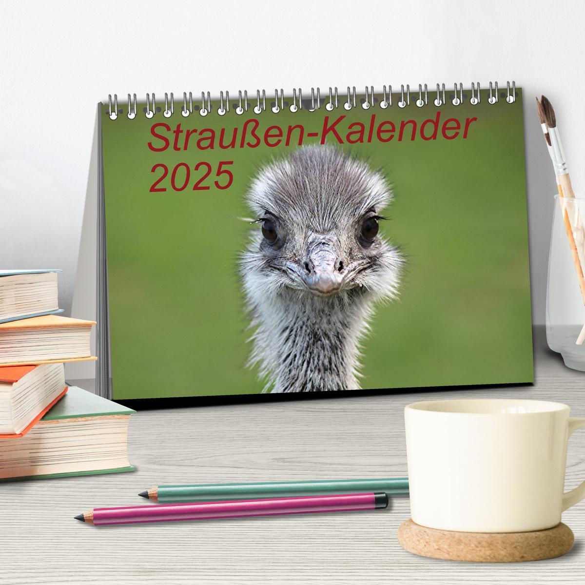 Bild: 9783435799510 | Straußen-Kalender 2025 (Tischkalender 2025 DIN A5 quer), CALVENDO...