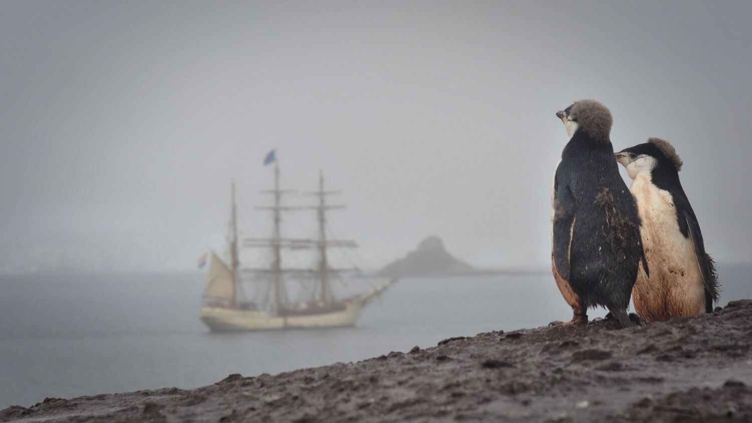 Bild: 9783982101729 | Eis in den Segeln | Antarktis Grönland Spitzbergen | Nioclás Seeliger