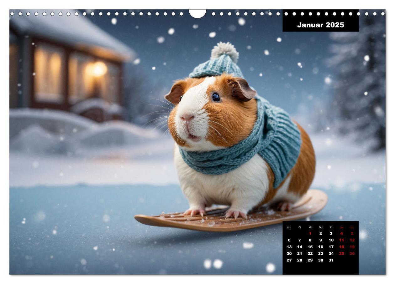 Bild: 9783435012527 | Meerschweinchen mal anders! (Wandkalender 2025 DIN A3 quer),...