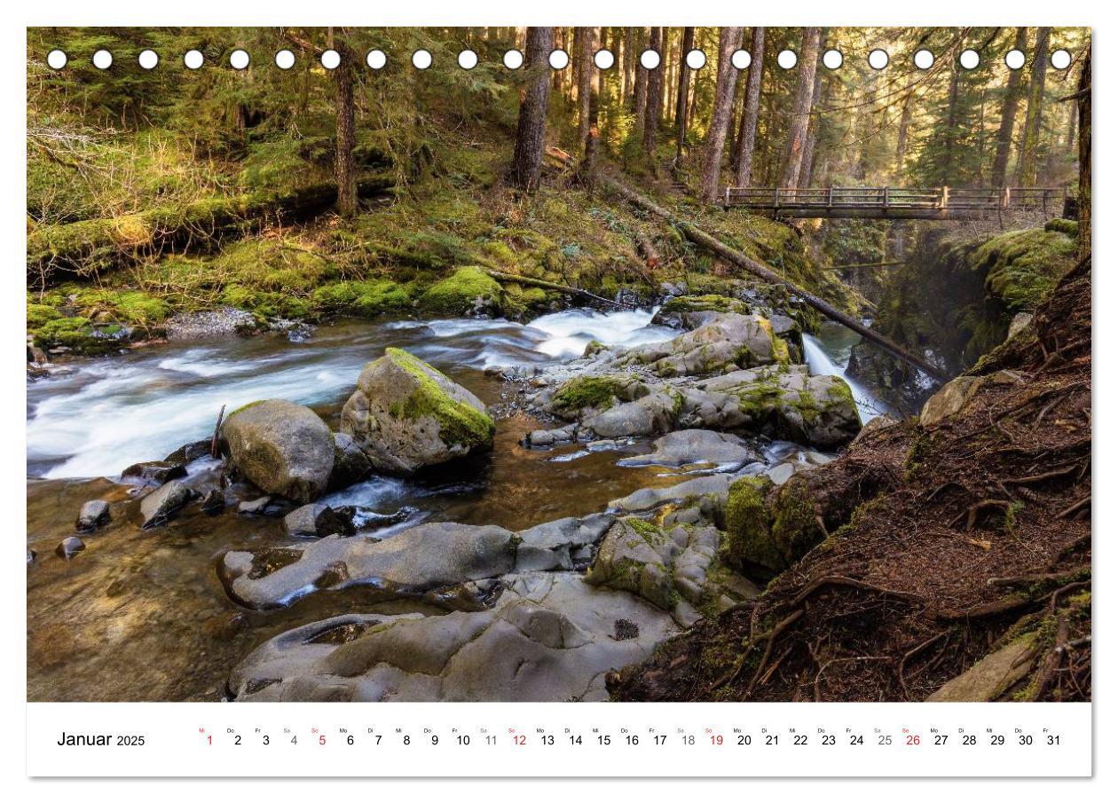 Bild: 9783435605187 | The Olympic National Park - Washington USA (Tischkalender 2025 DIN...