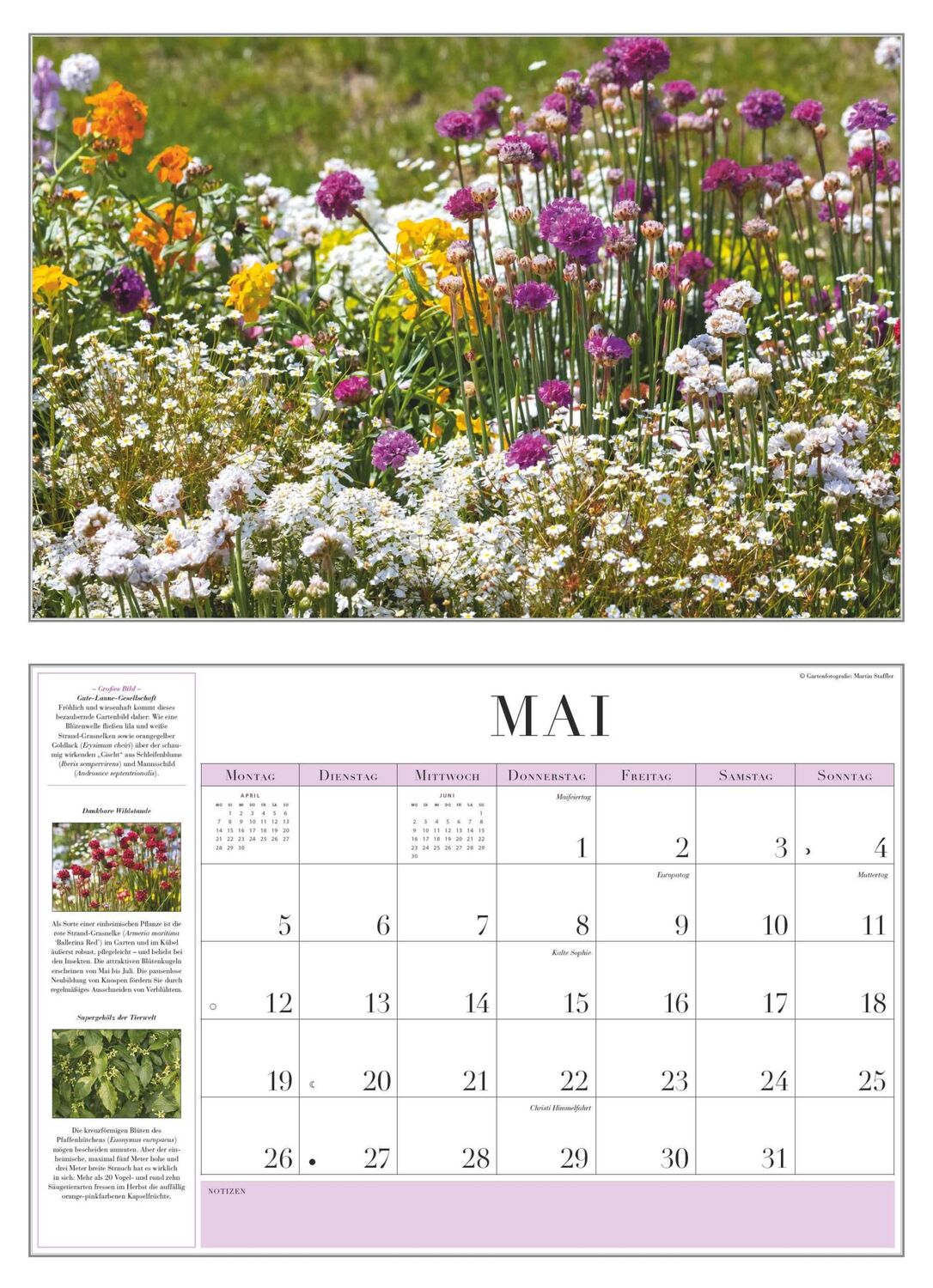 Bild: 4250809652856 | Garten-Kalender 2025 - Broschürenkalender - mit informativen Texten...