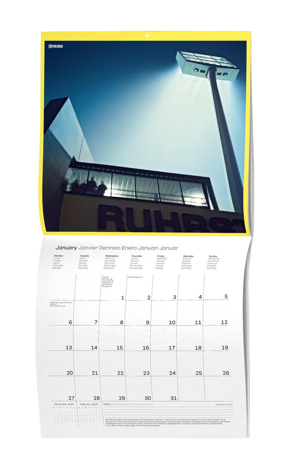 Bild: 4002725995216 | Ein Flutlichtkalender von 11FREUNDE 2025 - Wand-Kalender -...