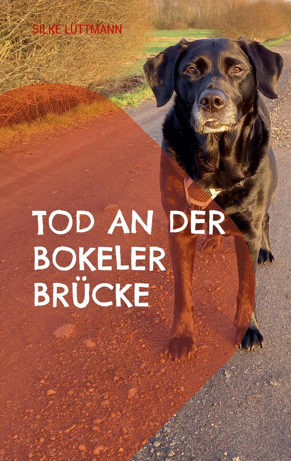 Cover: 9783752835953 | Tod an der Bokeler Brücke | Labrador Siley ermittelt | Silke Lüttmann