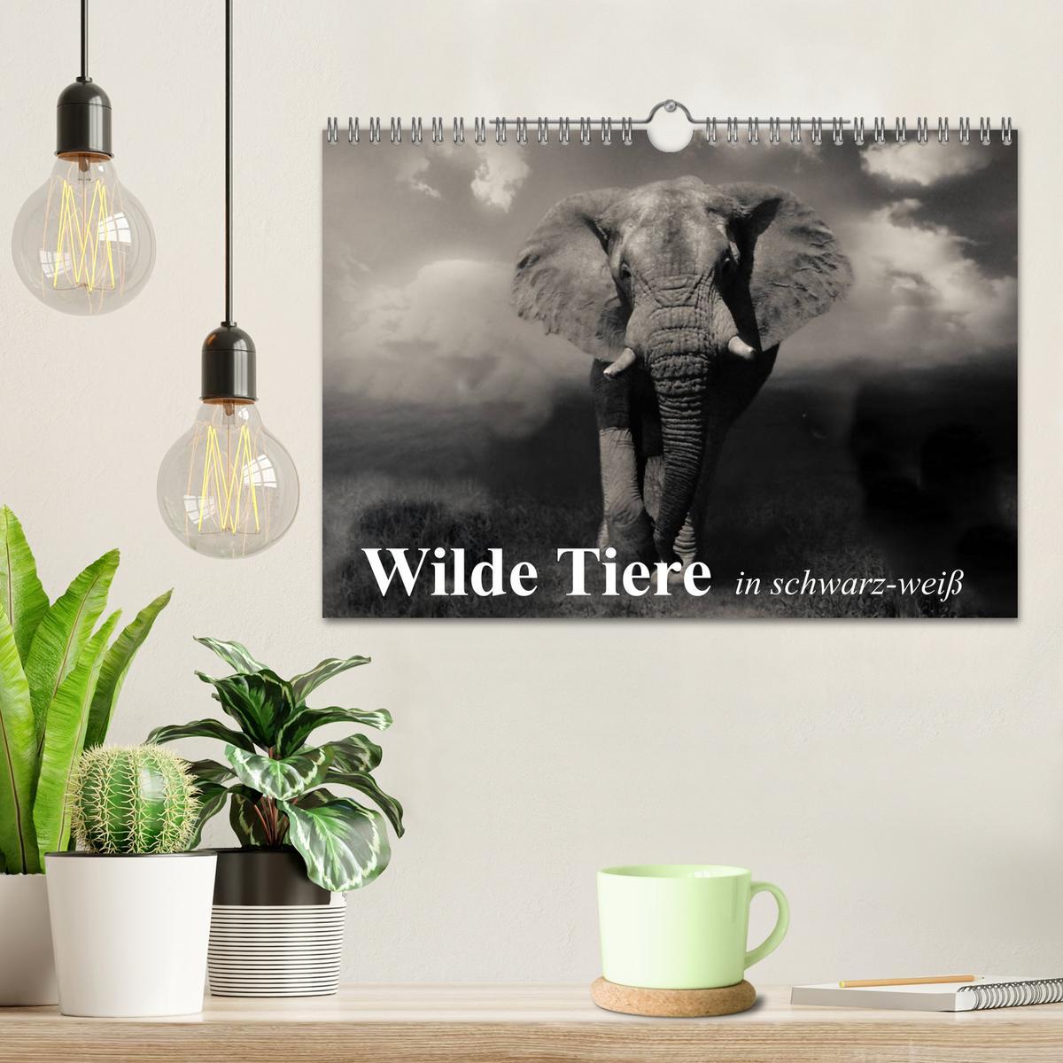 Bild: 9783435600557 | Wilde Tiere in schwarz-weiß (Wandkalender 2025 DIN A4 quer),...