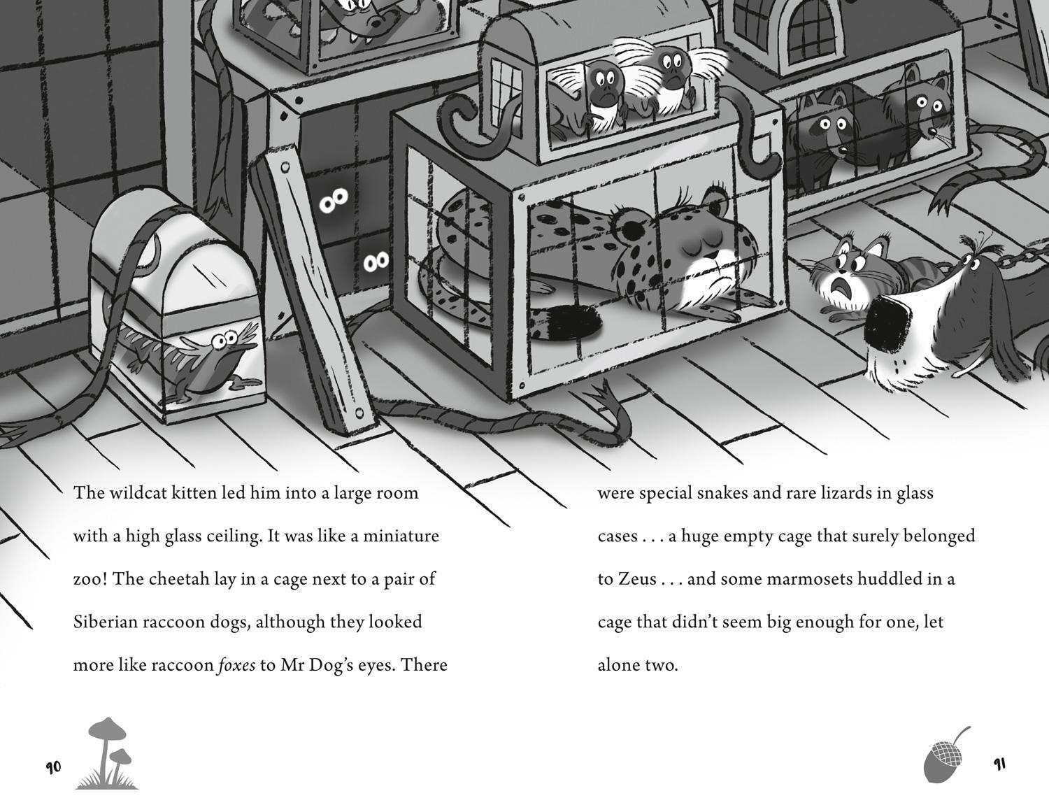 Bild: 9780008408299 | Fogle, B: Mr Dog and the Kitten Catastrophe | Taschenbuch | Englisch