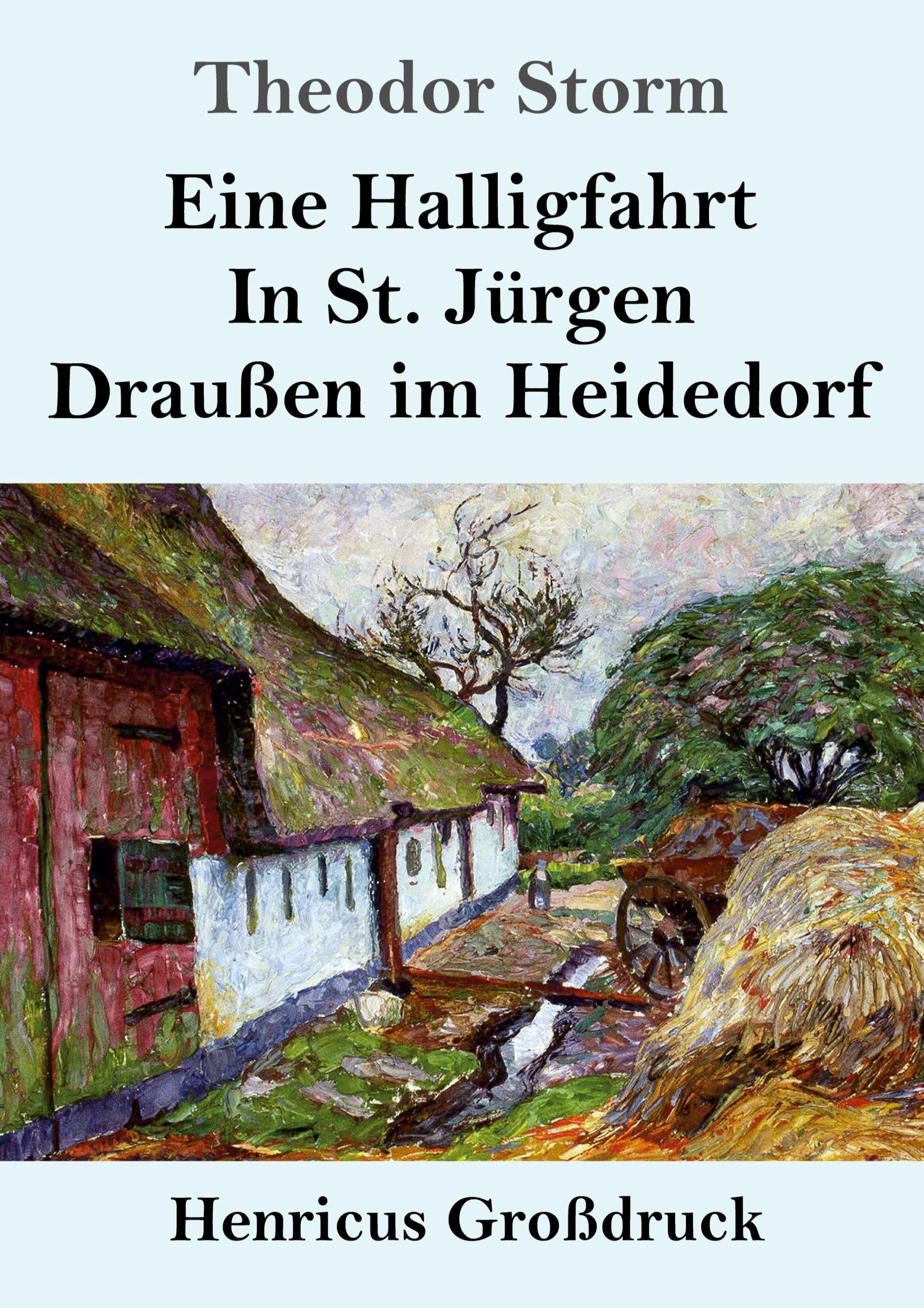 Cover: 9783847839491 | Eine Halligfahrt / In St. Jürgen / Draußen im Heidedorf (Großdruck)