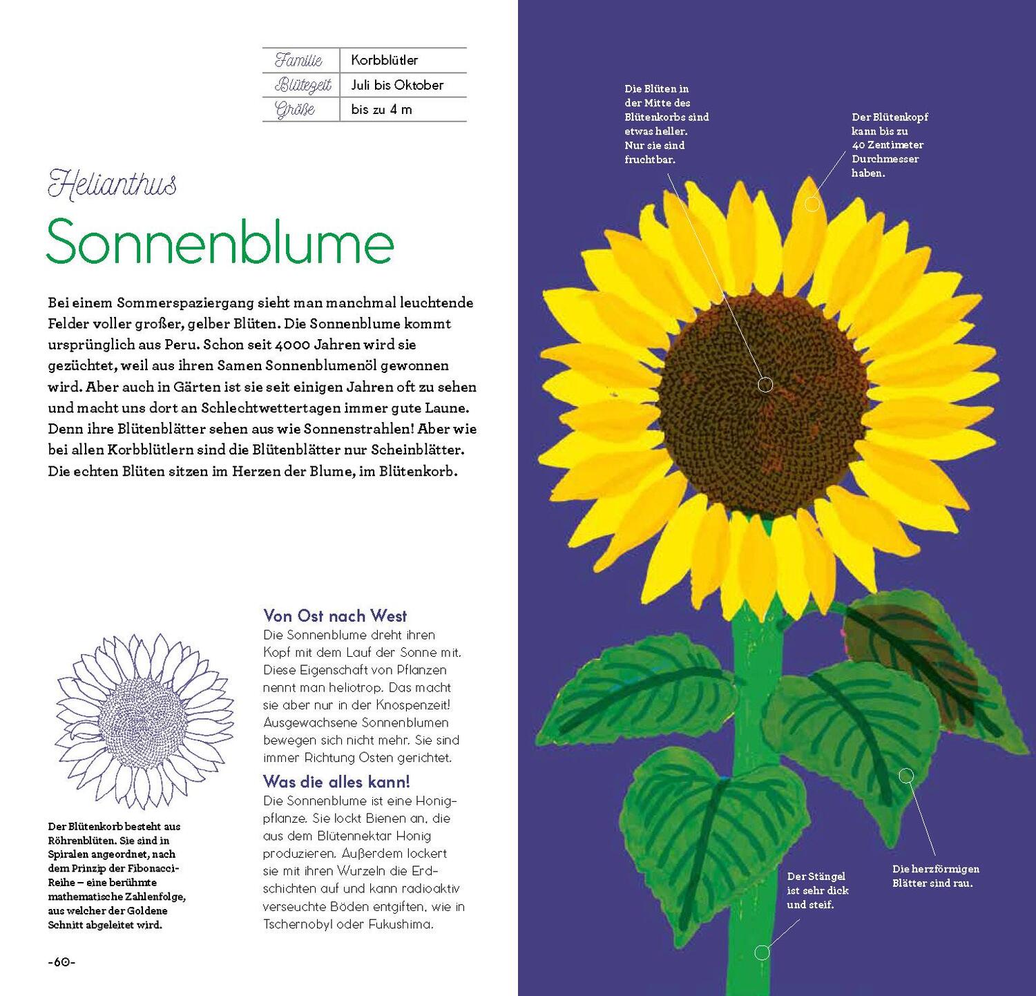 Bild: 9783701182985 | Magie der Blumen | Emmanuelle Kecir-Lepetit | Buch | 96 S. | Deutsch