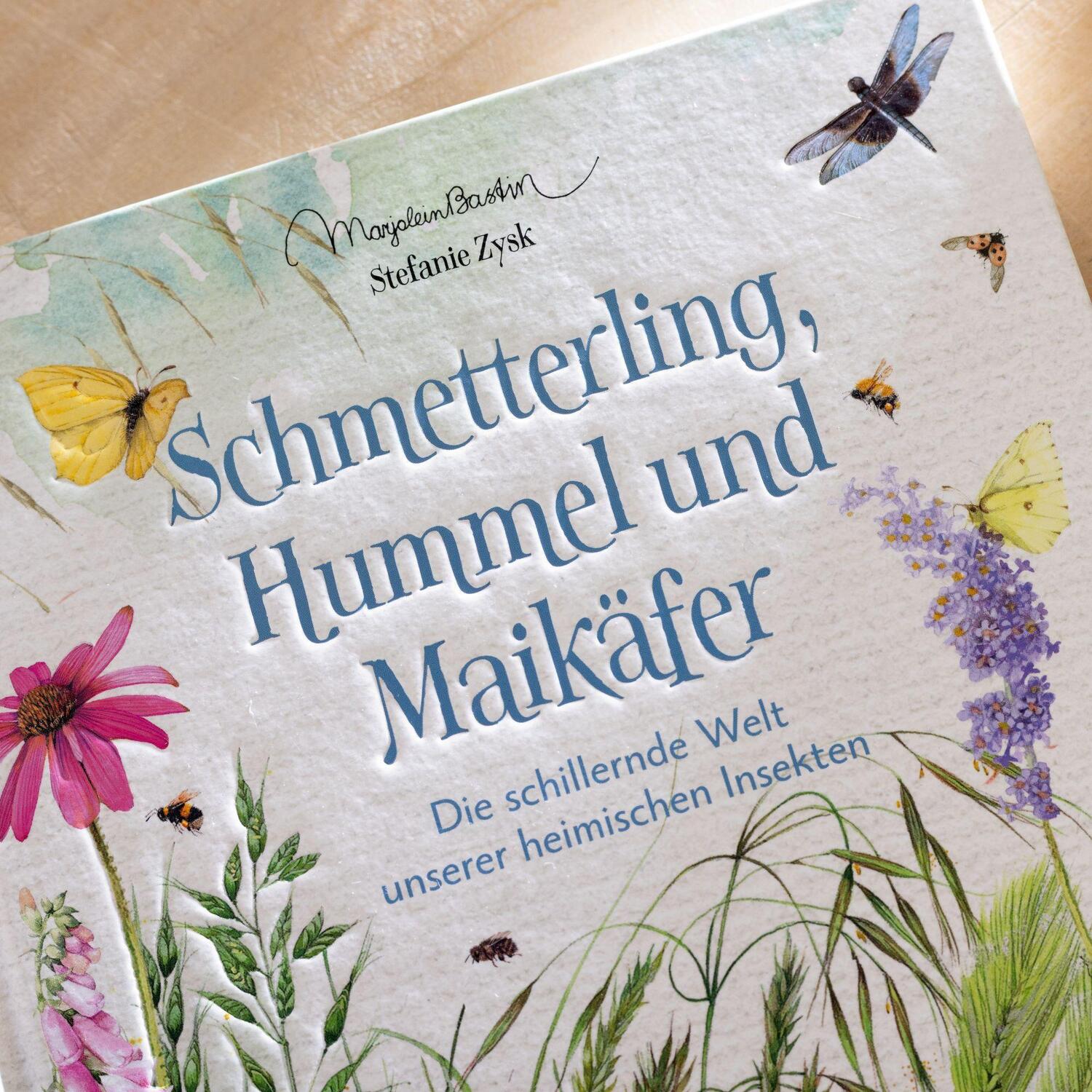 Bild: 9783649644736 | Schmetterling, Hummel und Maikäfer | Stefanie Zysk | Buch | 144 S.