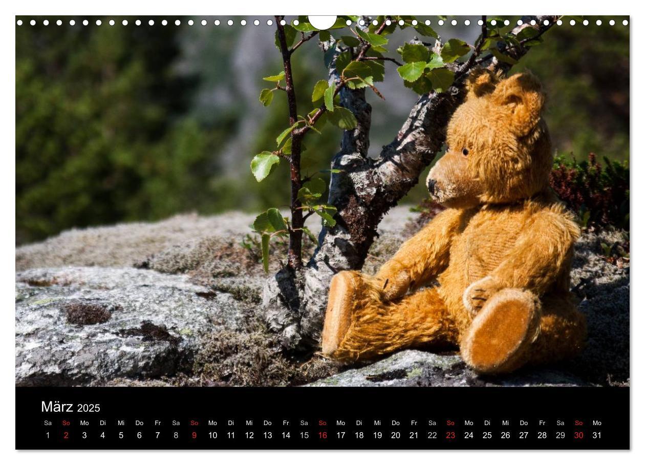 Bild: 9783435674084 | Teddy Basse, Fortsetzung... (Wandkalender 2025 DIN A3 quer),...