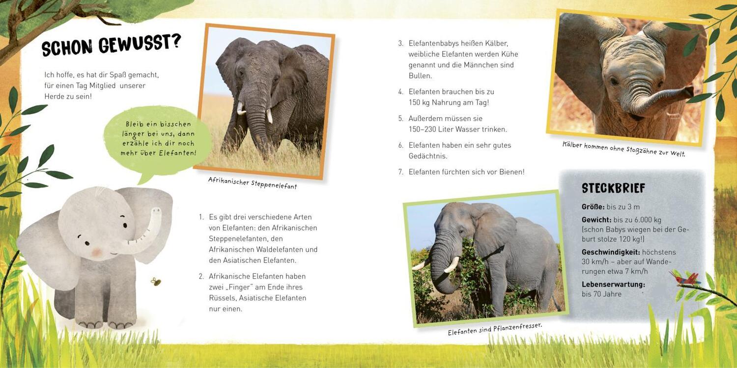 Bild: 9783551254979 | Kleine Tiere werden groß - Der Elefant | Anna Brett | Buch | 48 S.