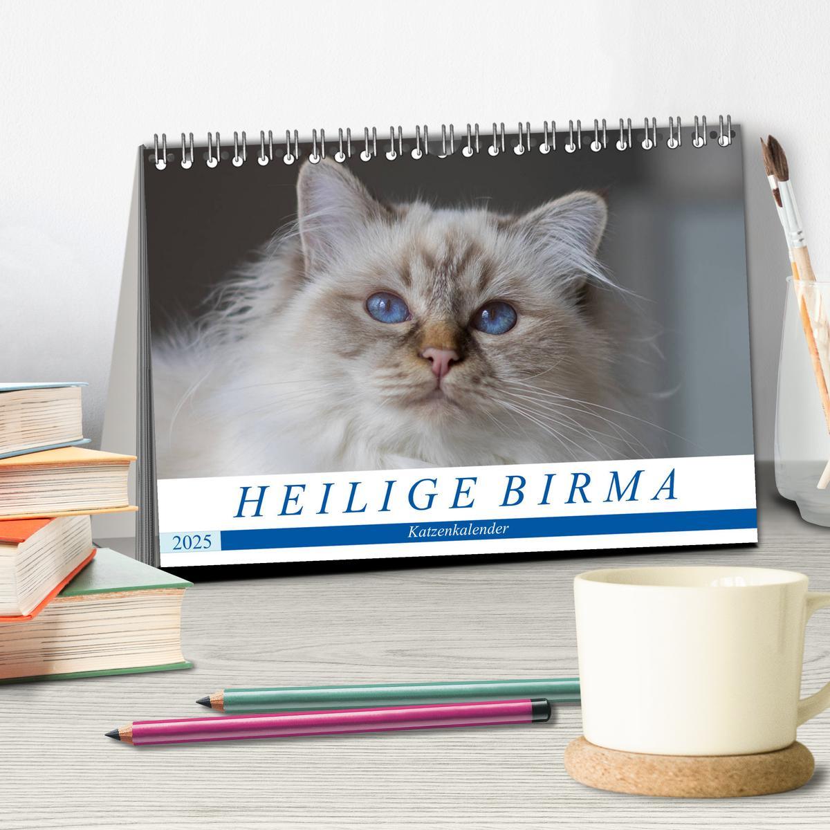 Bild: 9783435756186 | Heilige Birma Katzenkalender (Tischkalender 2025 DIN A5 quer),...