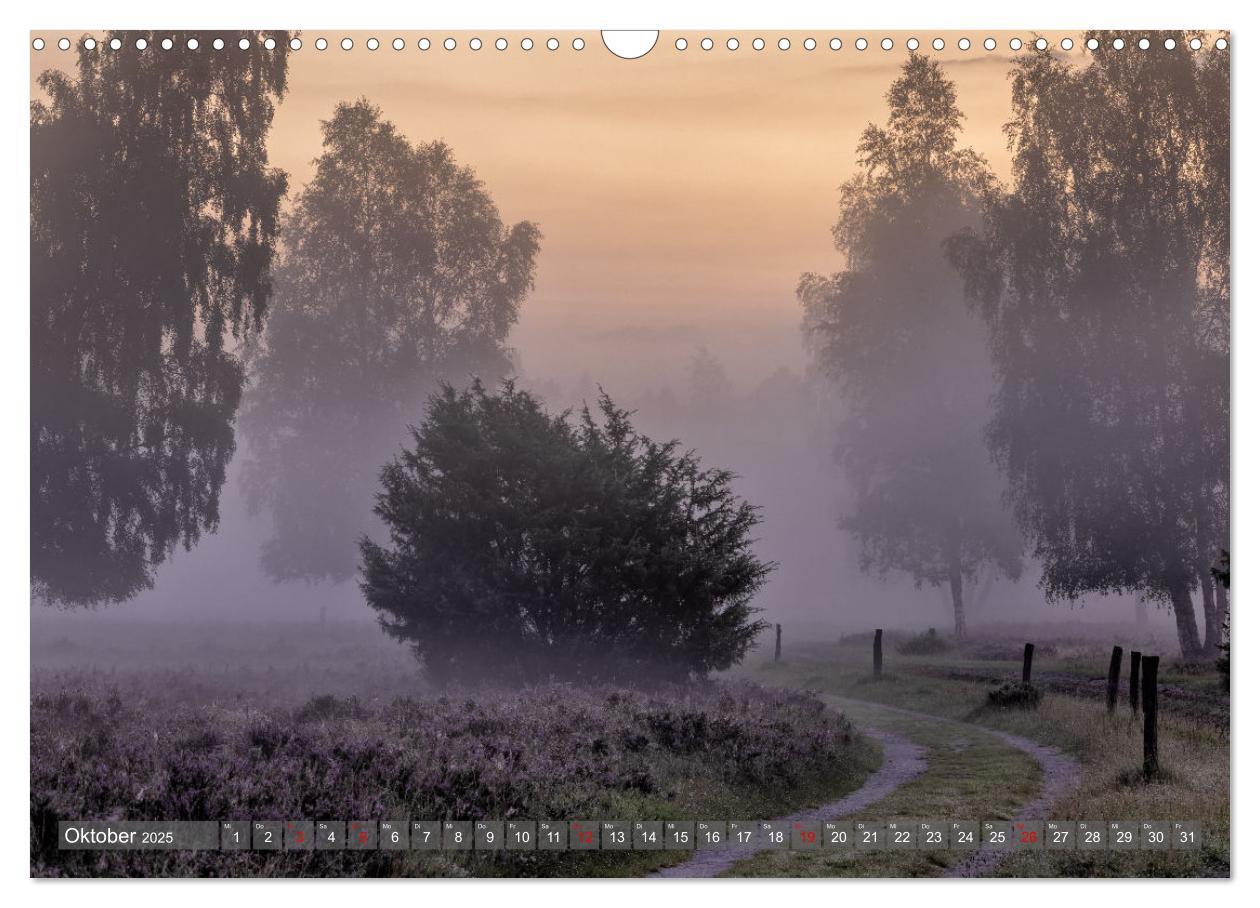 Bild: 9783383851728 | Die Lüneburger Heide - In voller Blüte (Wandkalender 2025 DIN A3...