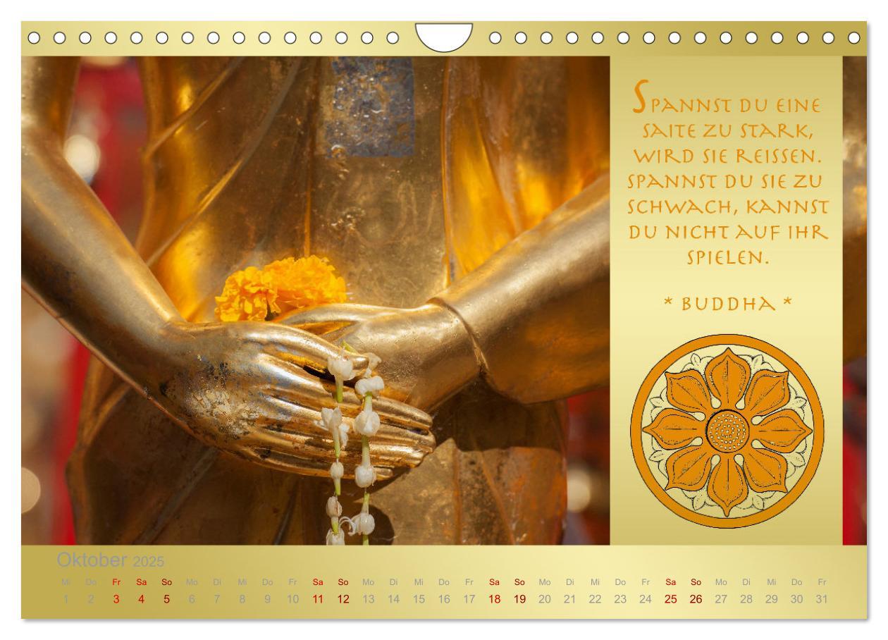 Bild: 9783435086153 | BUDDHA IM GLÜCK - Buddhistische Weisheiten (Wandkalender 2025 DIN...