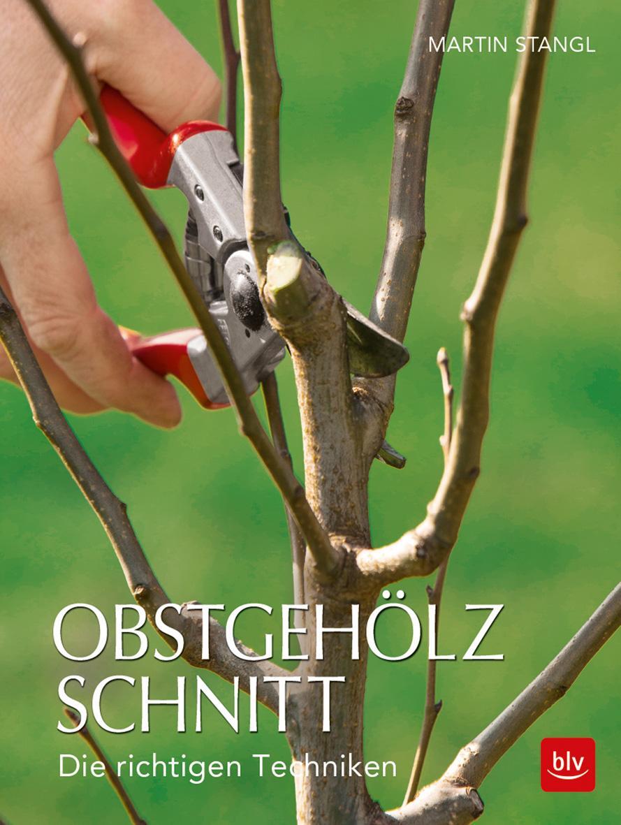 Cover: 9783835418035 | Obstgehölzschnitt | Die richtigen Techniken | Martin Stangl | Buch