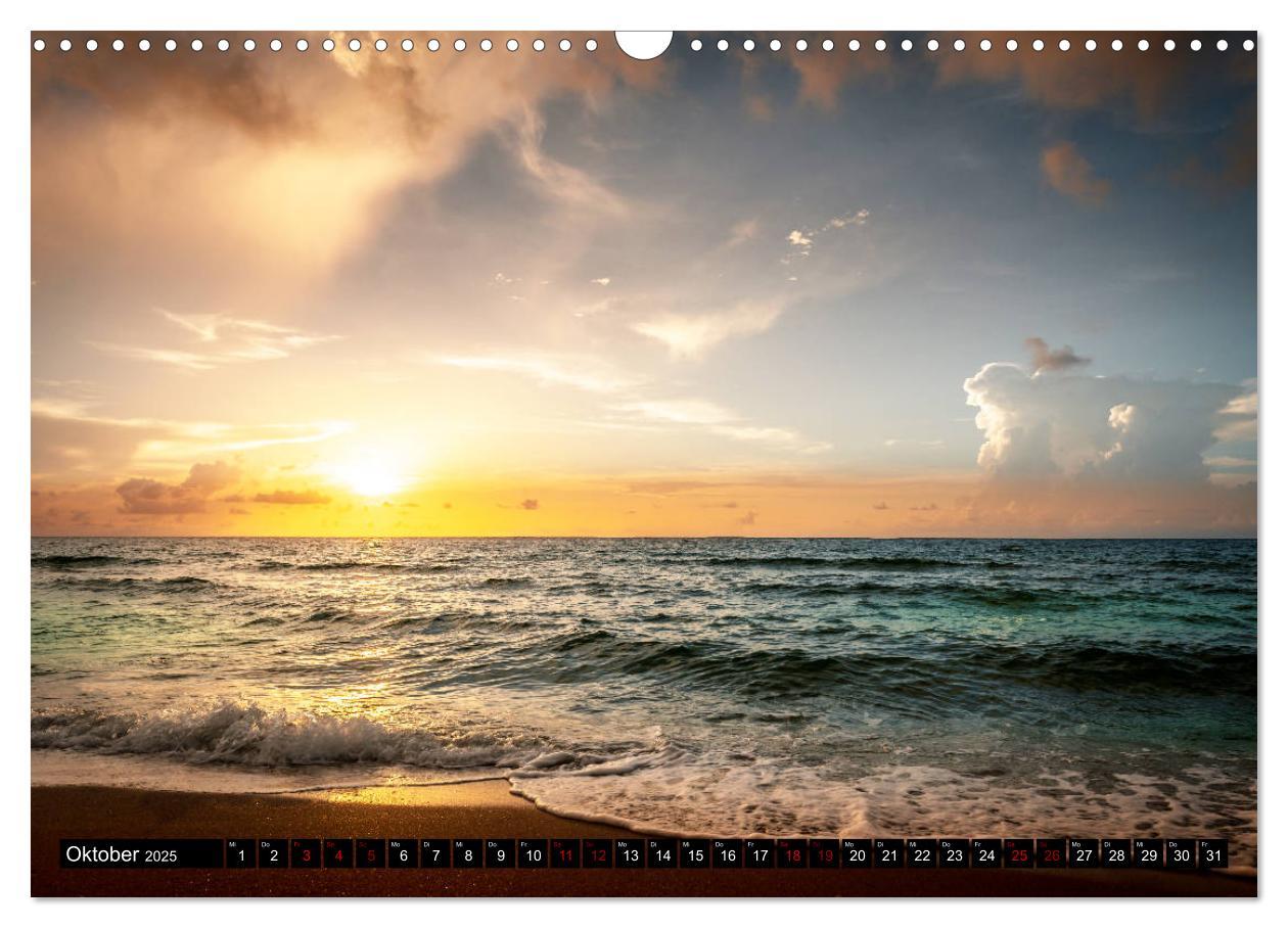 Bild: 9783435423675 | Florida. Der Sonne entgegen. (Wandkalender 2025 DIN A3 quer),...