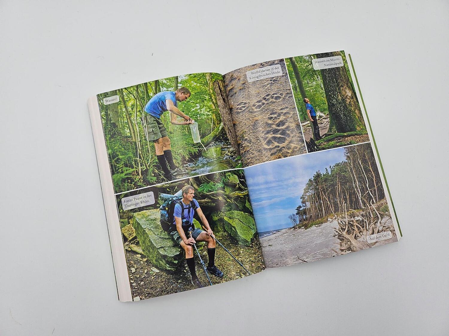 Bild: 9783492406703 | Der Waldwanderer | Gerald Klamer | Taschenbuch | 272 S. | Deutsch