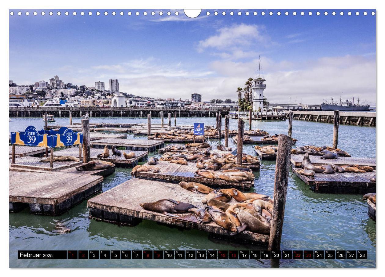 Bild: 9783435428779 | San Francisco Moments (Wandkalender 2025 DIN A3 quer), CALVENDO...