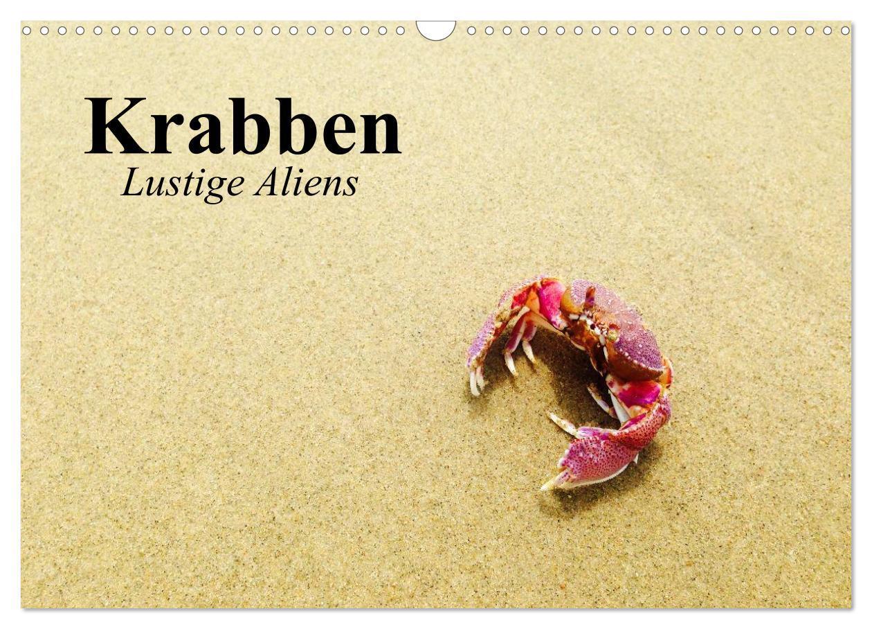 Cover: 9783435590285 | Krabben. Lustige Aliens (Wandkalender 2025 DIN A3 quer), CALVENDO...