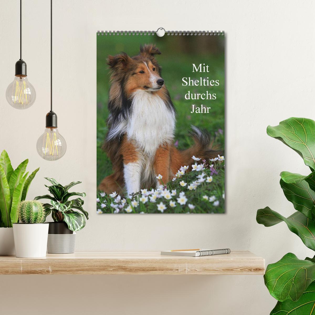 Bild: 9783457040836 | Mit Shelties durchs Jahr (Wandkalender 2025 DIN A3 hoch), CALVENDO...