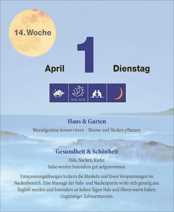 Bild: 9783731877448 | Mond Abreißkalender 2025 | Verlag Korsch | Kalender | 328 S. | Deutsch