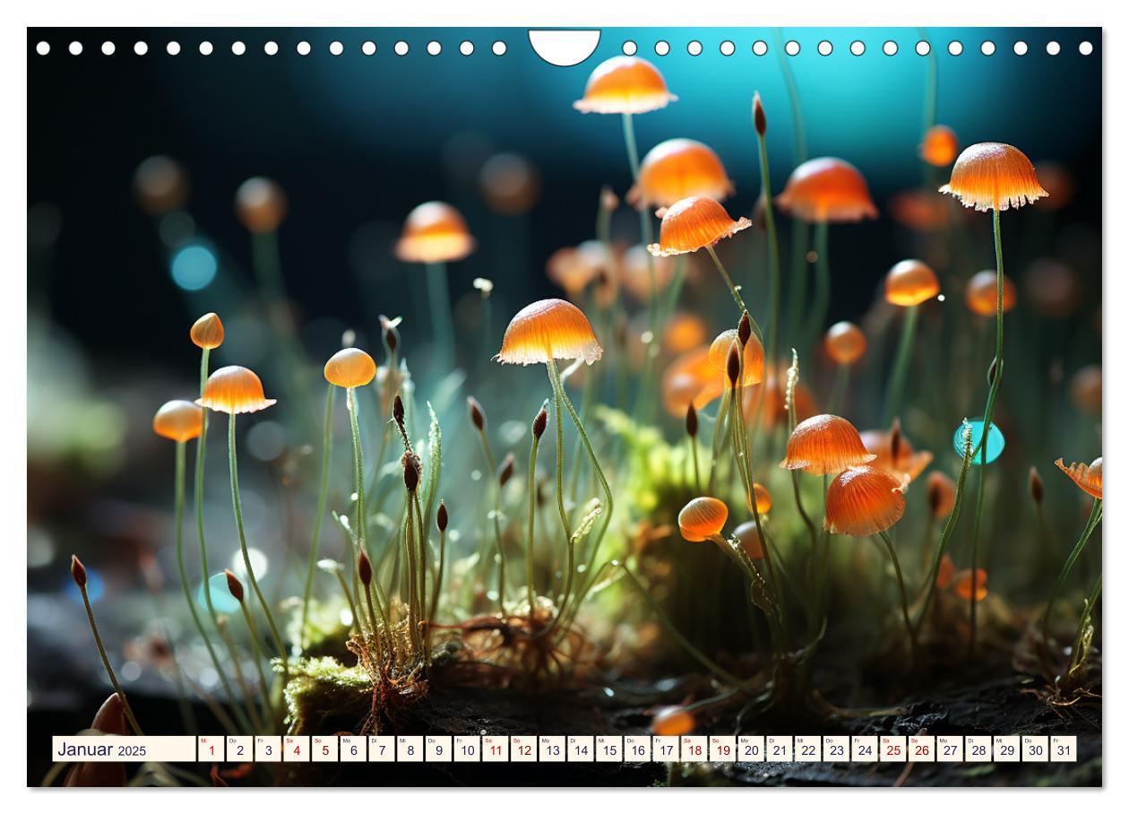 Bild: 9783383848919 | Wunderwelt Mikrokosmos (Wandkalender 2025 DIN A4 quer), CALVENDO...