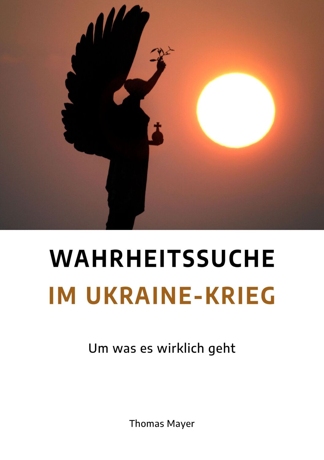 Cover: 9783890608631 | Wahrheitssuche im Ukraine-Krieg | Um was es wirklich geht | Mayer