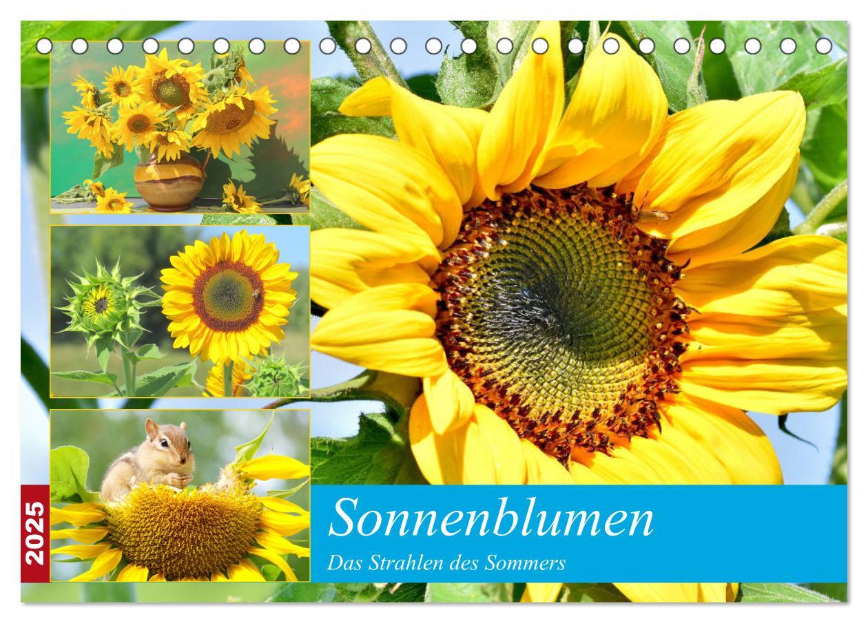 Cover: 9783435191826 | Sonnenblumen. Das Strahlen des Sommers (Tischkalender 2025 DIN A5...