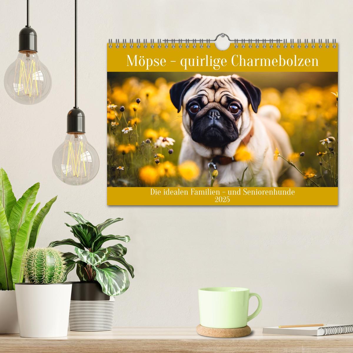 Bild: 9783435645893 | Möpse - quirlige Charmebolzen (Wandkalender 2025 DIN A4 quer),...