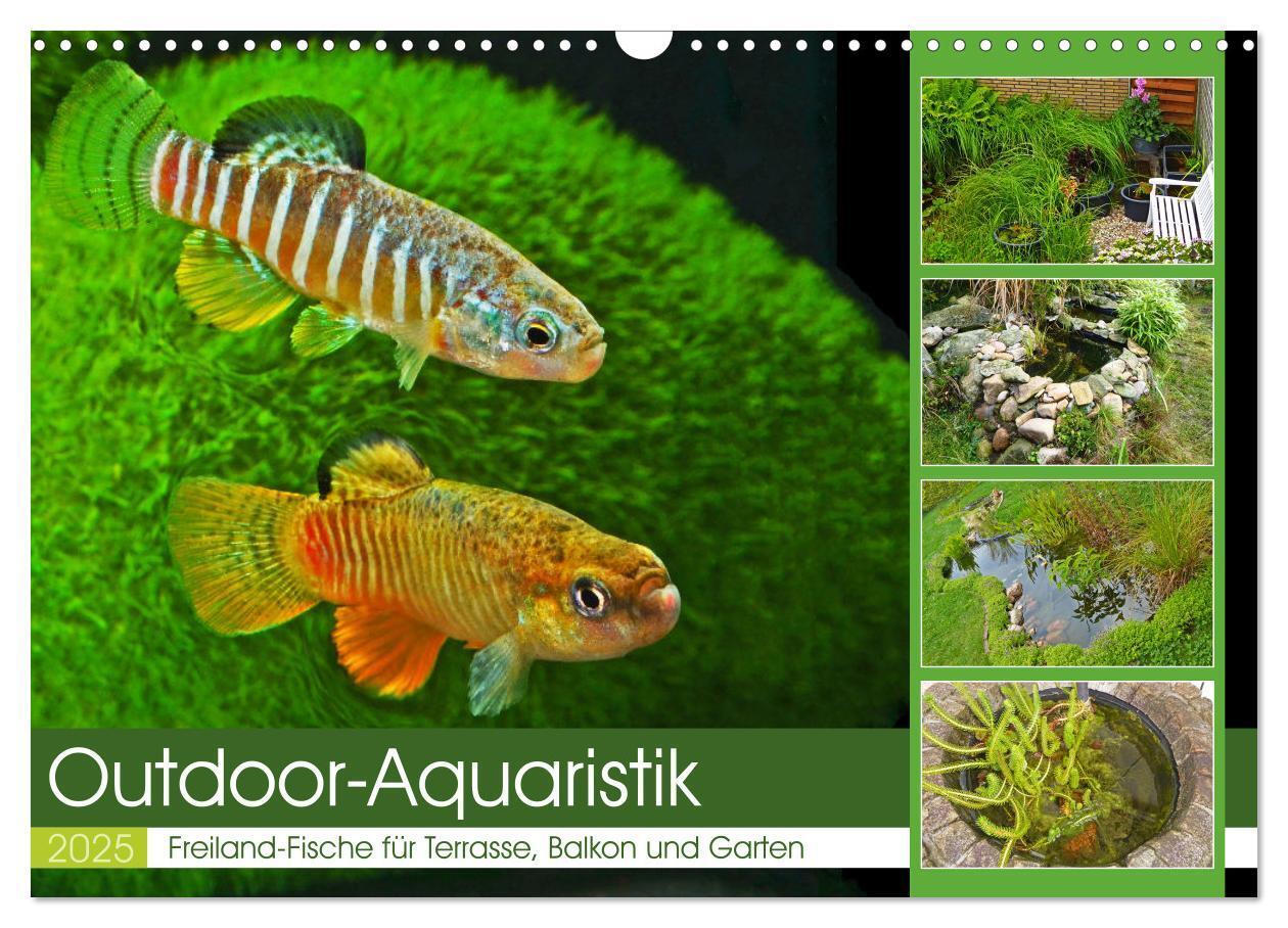 Cover: 9783383911651 | Outdoor-Aquaristik (Wandkalender 2025 DIN A3 quer), CALVENDO...