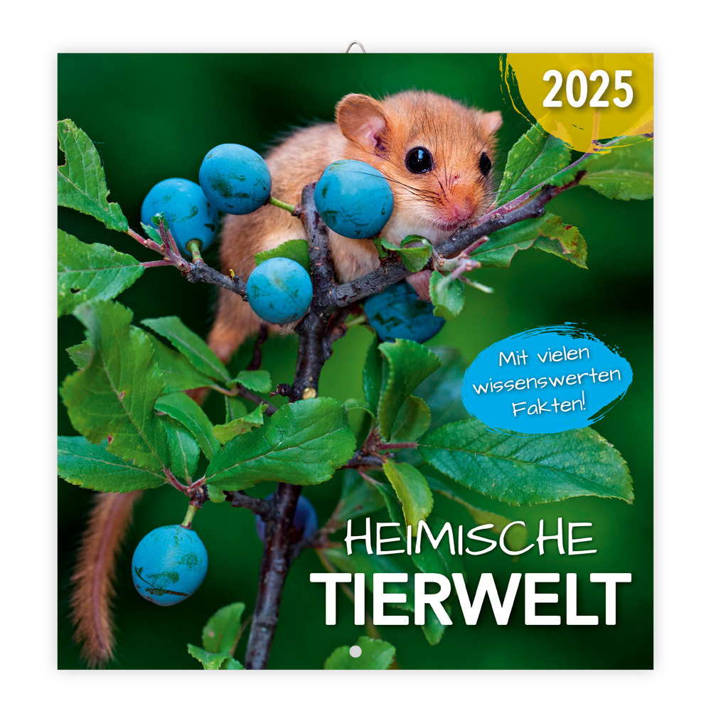 Cover: 9783988021915 | Trötsch Broschürenkalender Heimische Tierwelt 2025 | Wandplaner | 2025