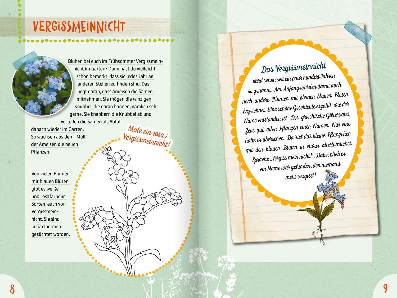 Bild: 9783751202015 | 50 Naturgeheimnisse und Outdoorabenteuer | Peter Wohlleben | Buch