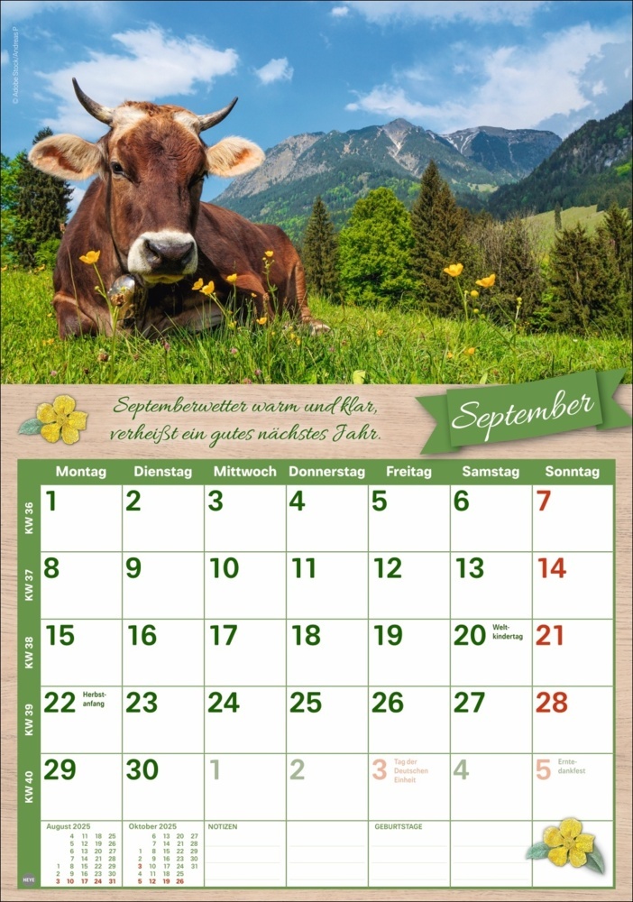 Bild: 9783756408726 | Rentnerkalender 2025 | Kalender | Spiralbindung | 25 S. | Deutsch