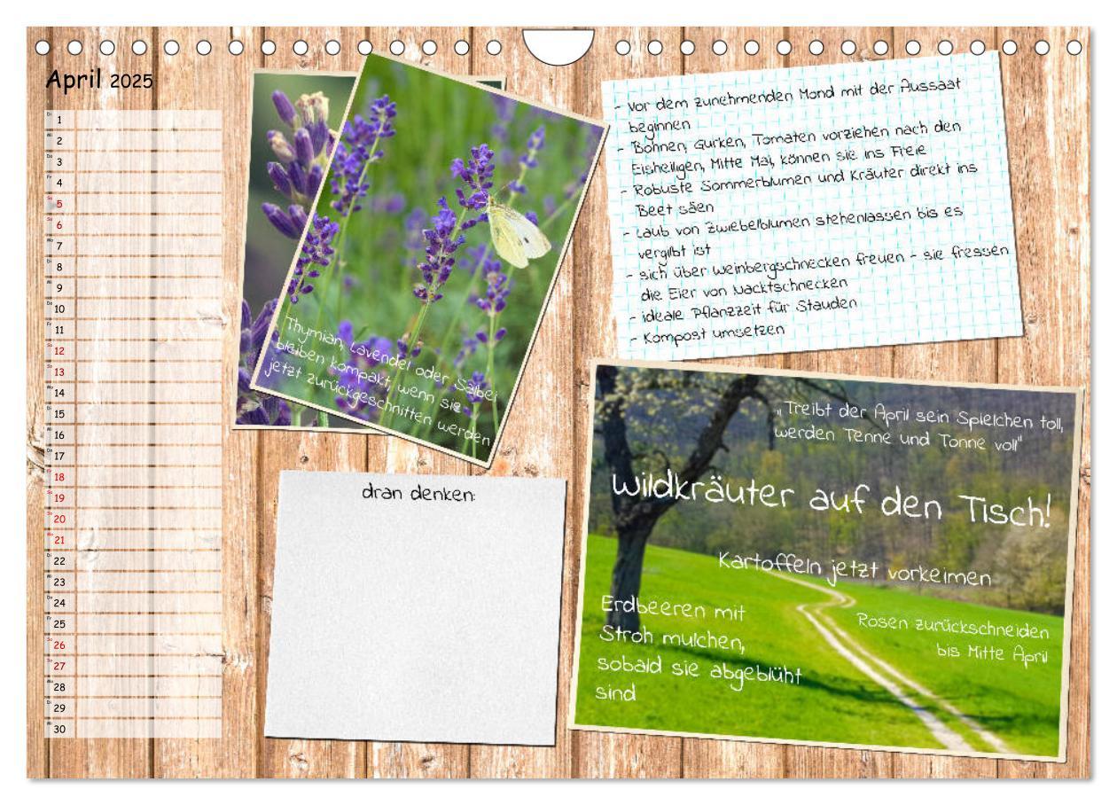 Bild: 9783435133116 | Was ist noch im Garten zu tun? (Wandkalender 2025 DIN A4 quer),...