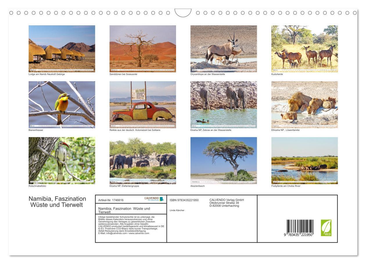 Bild: 9783435221950 | Namibia, Faszination Wüste und Tierwelt (Wandkalender 2025 DIN A3...