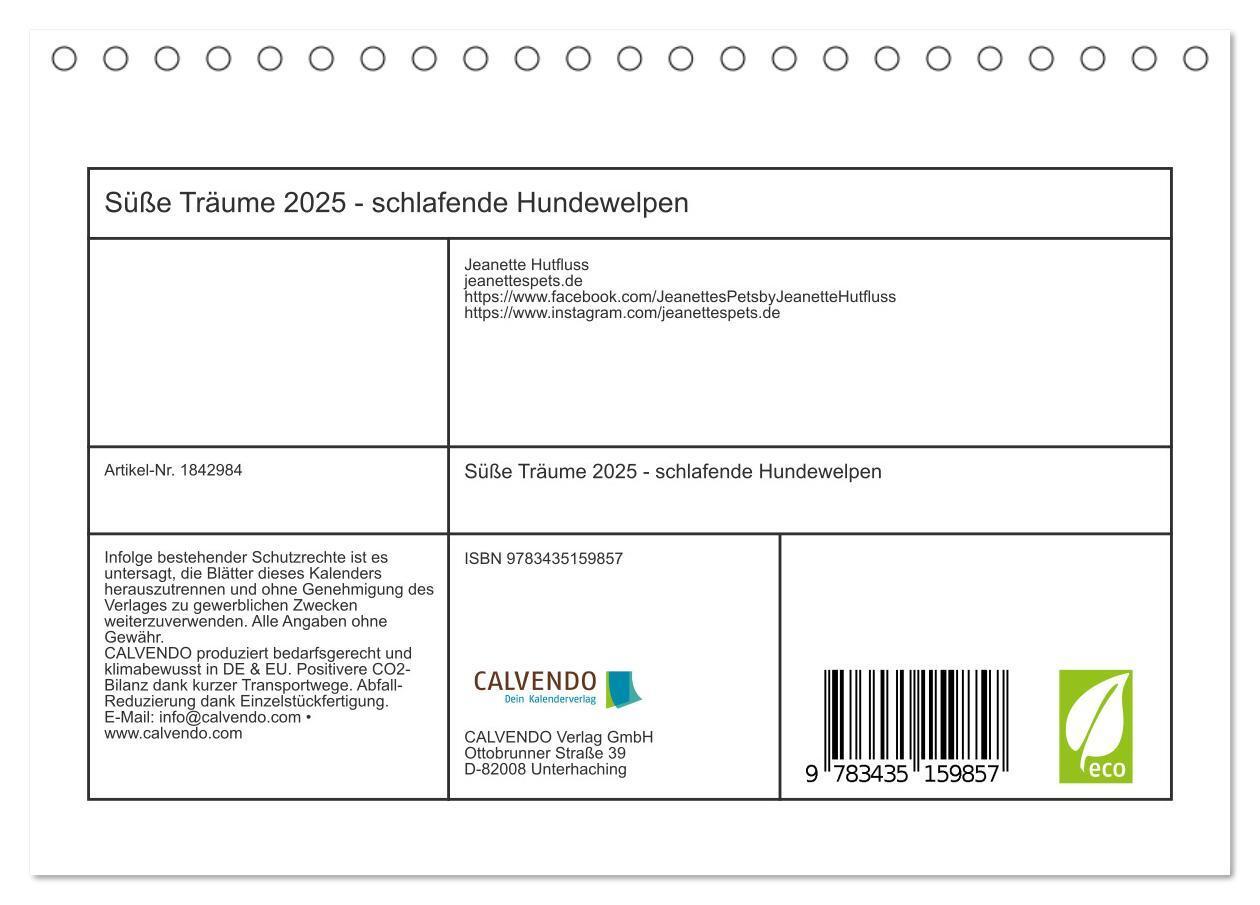 Bild: 9783435159857 | Süße Träume 2025 - schlafende Hundewelpen (Tischkalender 2025 DIN...