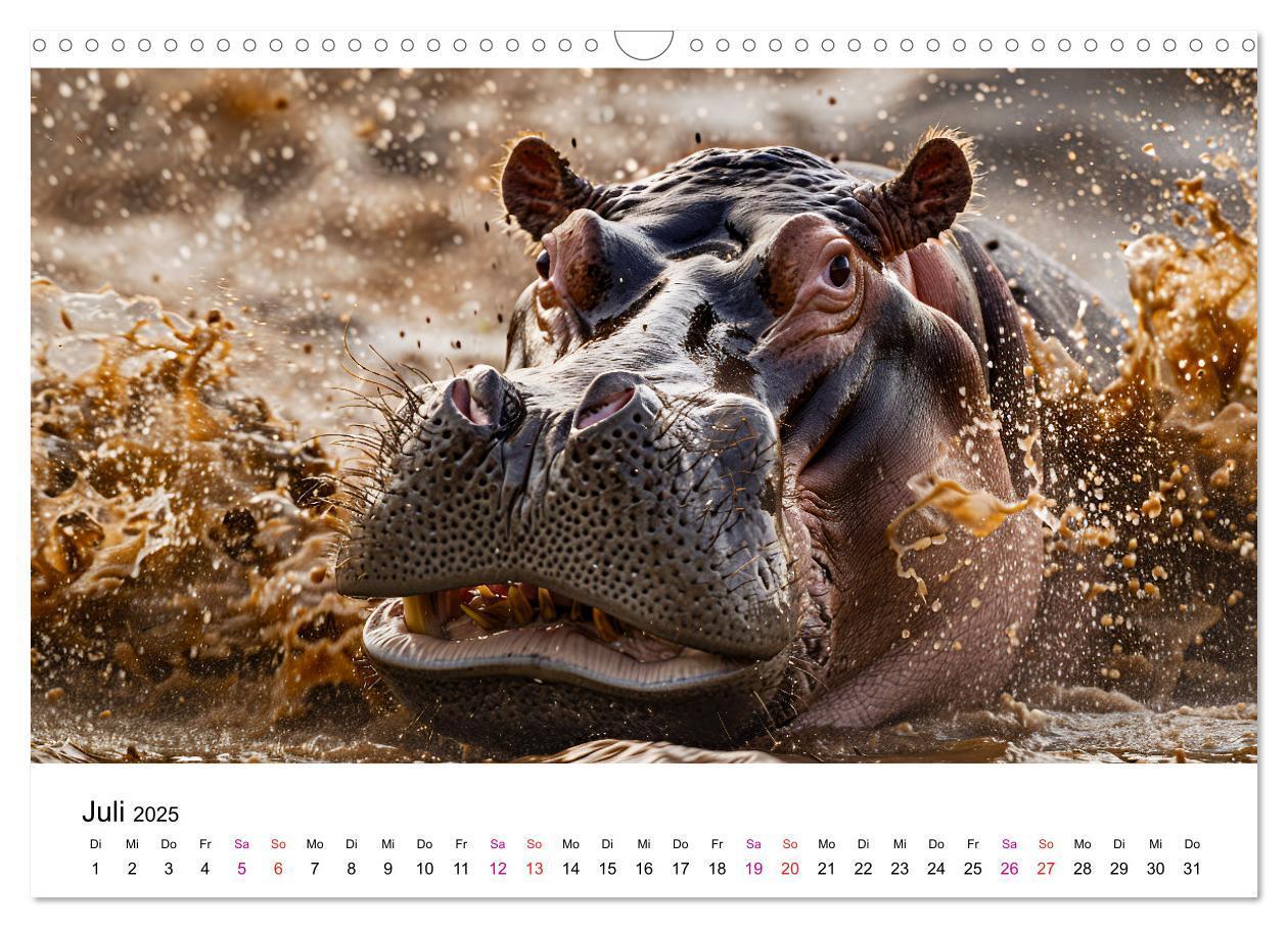 Bild: 9783457171899 | Flusspferde - Hippopotamus amphibius (Wandkalender 2025 DIN A3...