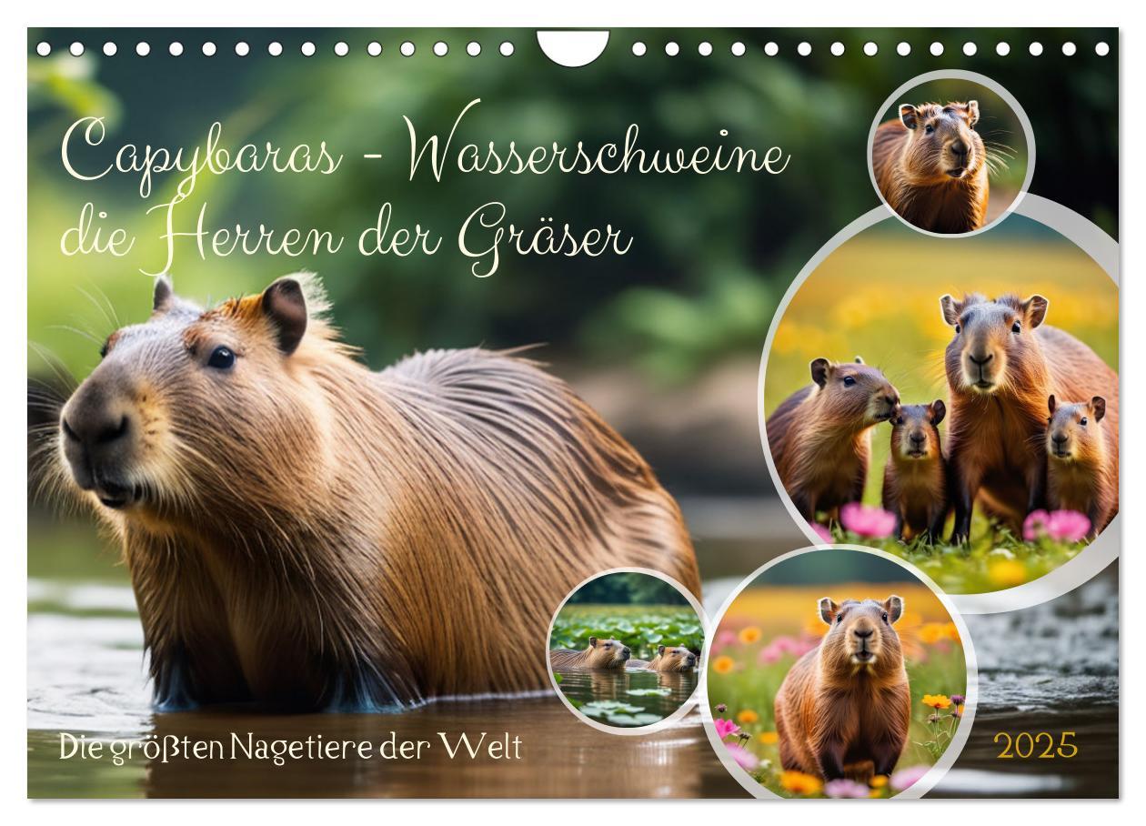 Cover: 9783457143759 | Capybaras - Wasserschweine die Herren der Gräser (Wandkalender 2025...