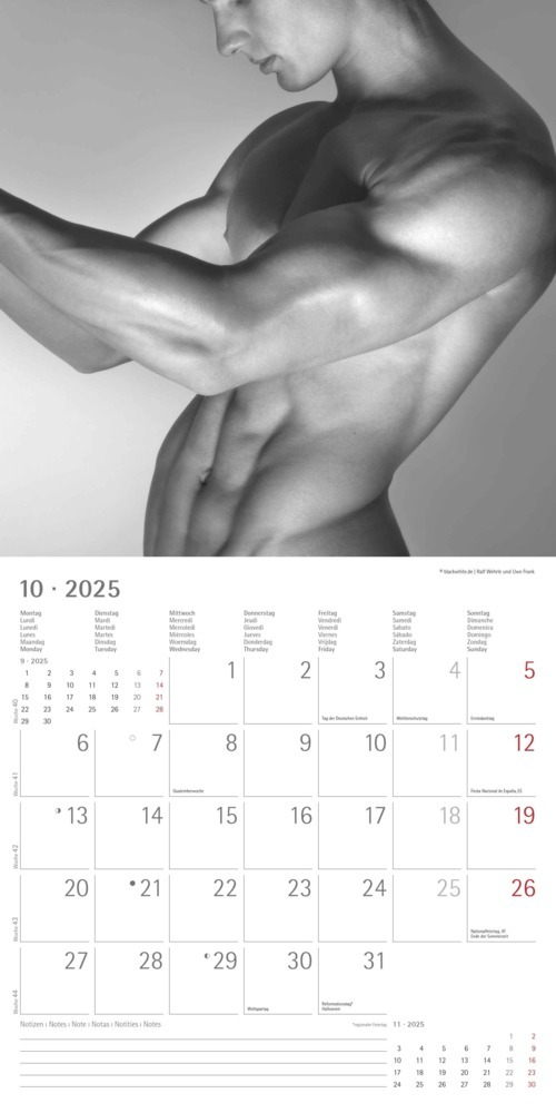 Bild: 4251732343095 | Alpha Edition - Masculine 2025 Broschürenkalender, 30x30cm,...